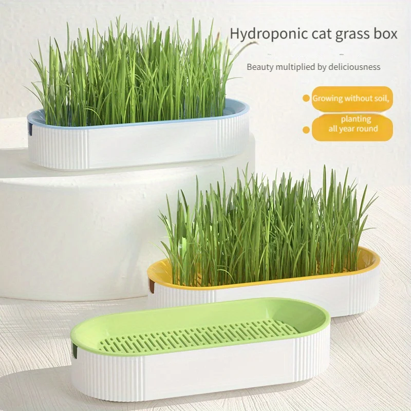 Snack transparente para gatos, hierba gatera hidropónica de interior, planta verde, listo para comer, semillas de trigo para gatitos, aperitivos