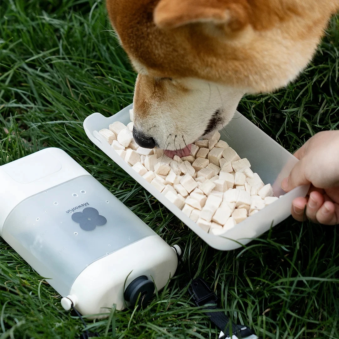 Mewoofun-botella de agua para perro, dispensador de agua práctico y seguro para mascotas y gatos, portátil, insípido y a prueba de fugas para