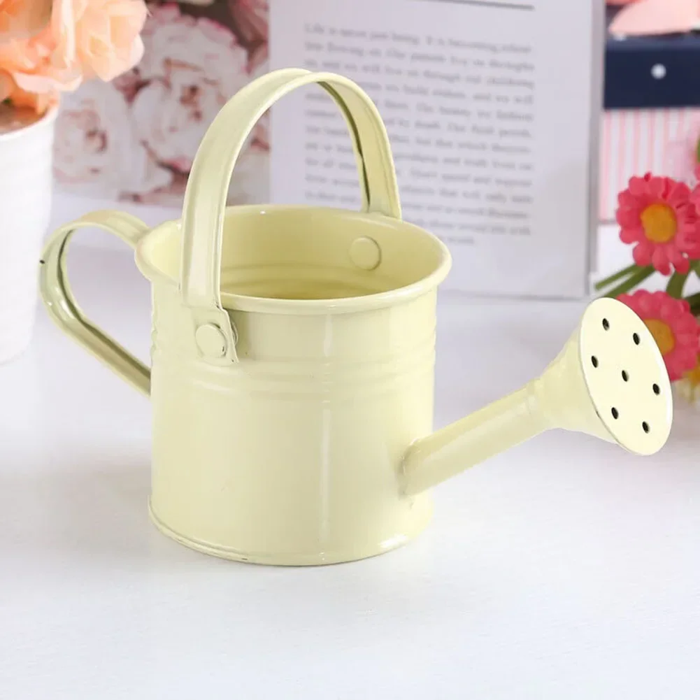 Brand New Watering Can 1 Pcs Smooth Pouring Stable Position Thick Base Watering Can Large Capacity Long Mouth Design