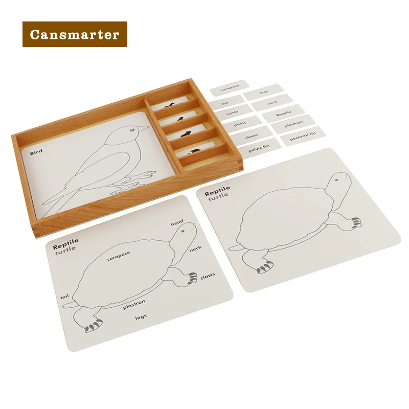 Botanica Puzzle Activity Set materiali Montessori giocattolo educativo piante animali scatole di carte giocattoli in legno di faggio giochi per bambini