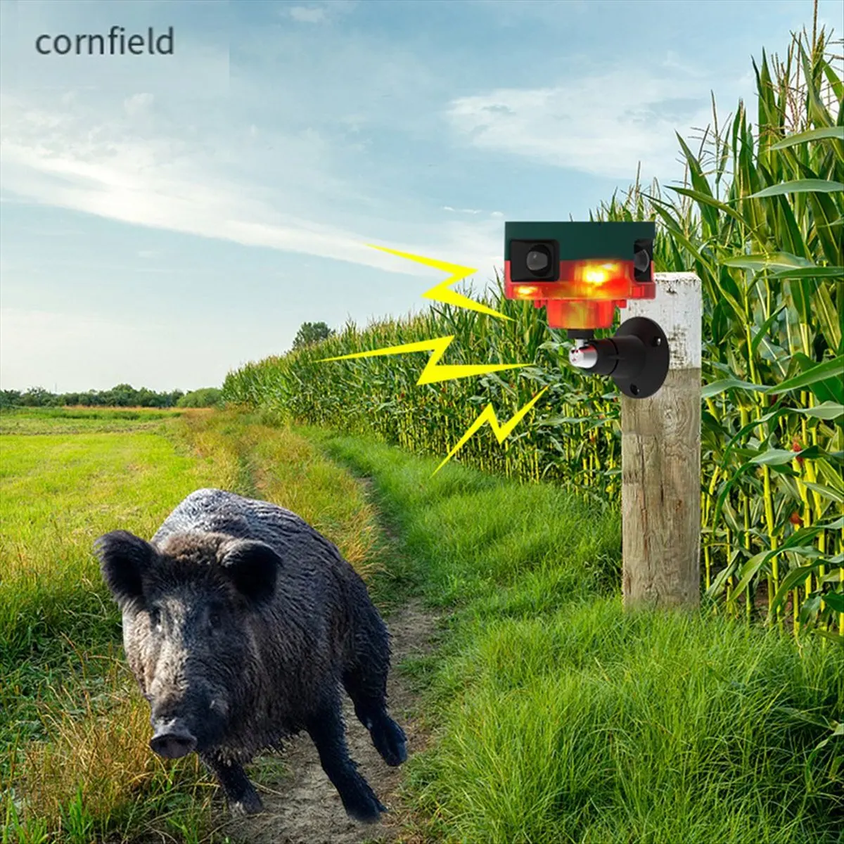 sirene-solaire-exterieure-a-detecteur-de-mouvement-abfking-360°-°-sirene-de-detection-repulsif-pour-animaux-haut-parleur-d'enregistrement-vocal-129db