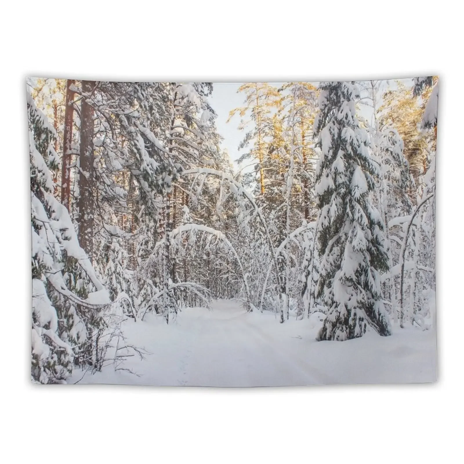 

Magic archway in winter Tapestry Funny Home Decorating Tapestry