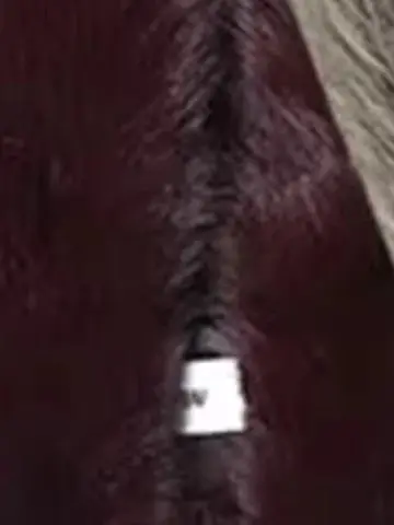 HH 겨울 여성 우아한 따뜻한 스트리트 스타일 재킷 패션 여성 인조 모피 효과 재킷 하이 칼라 긴 소매 솔리드 아우터웨어