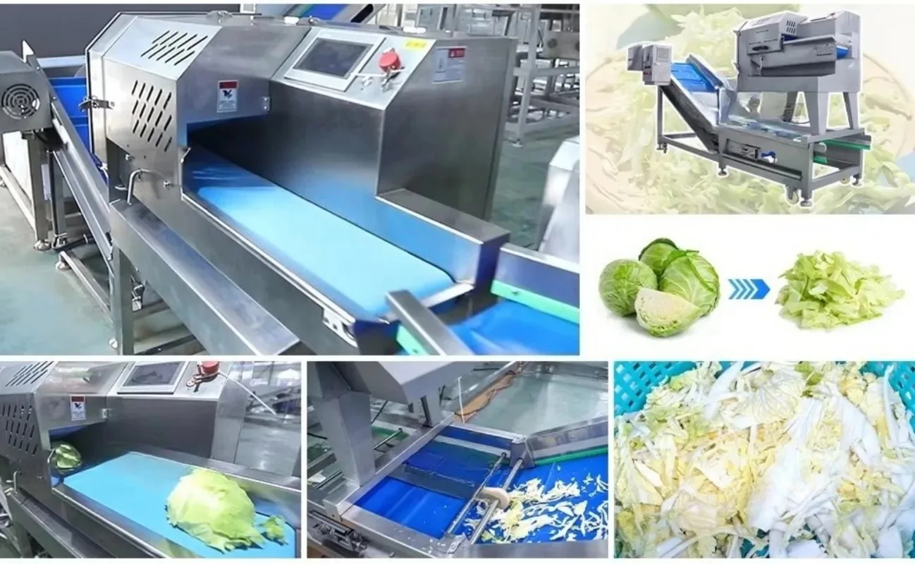 CE certification adjus  cutting size vege    small food factory cutting vege  washing line