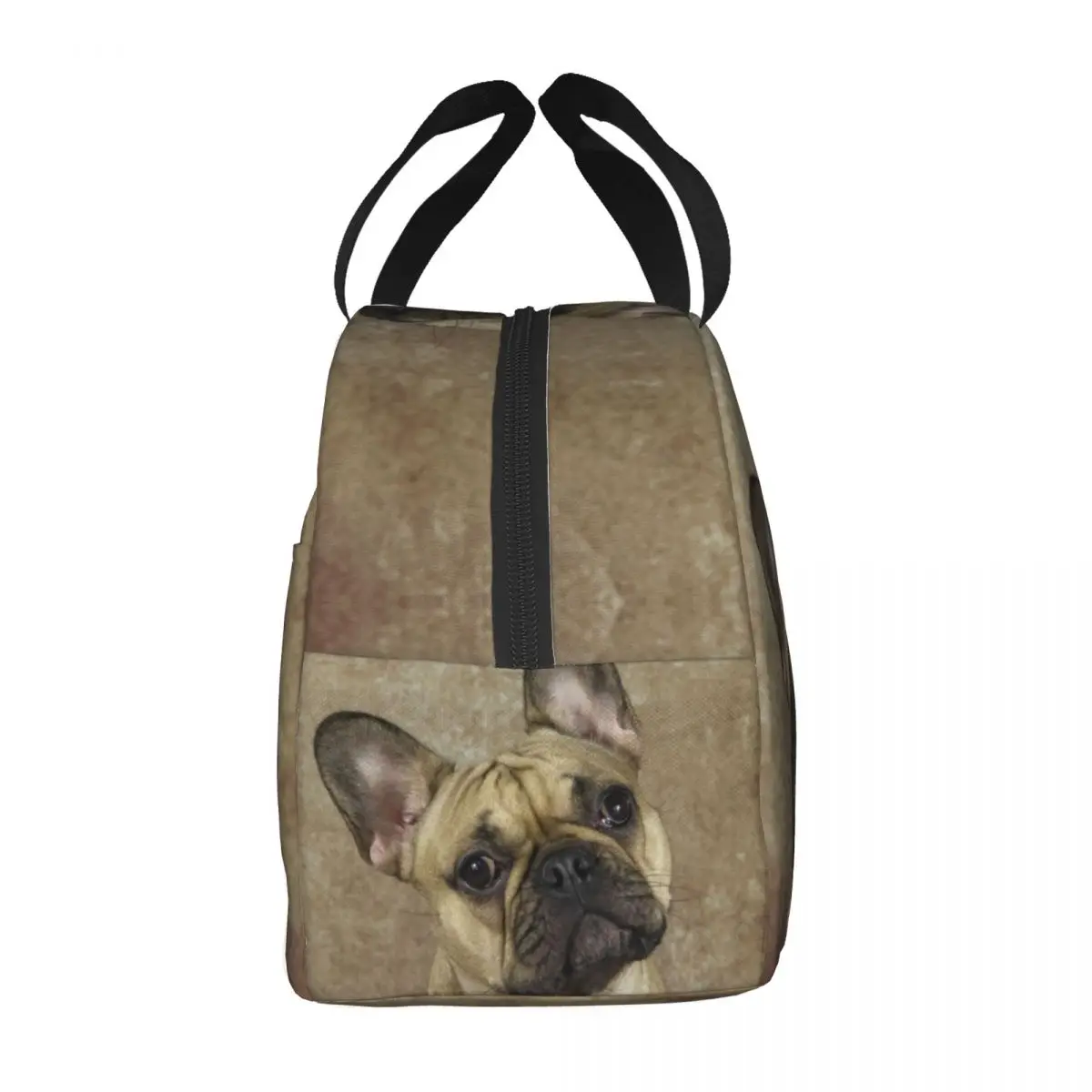 Sac à déjeuner isotherme pour femmes et enfants, bouledogue français, réutilisable, boîte à déjeuner pour chien de compagnie, école, bureau, travail, pique-nique, sacs fourre-tout