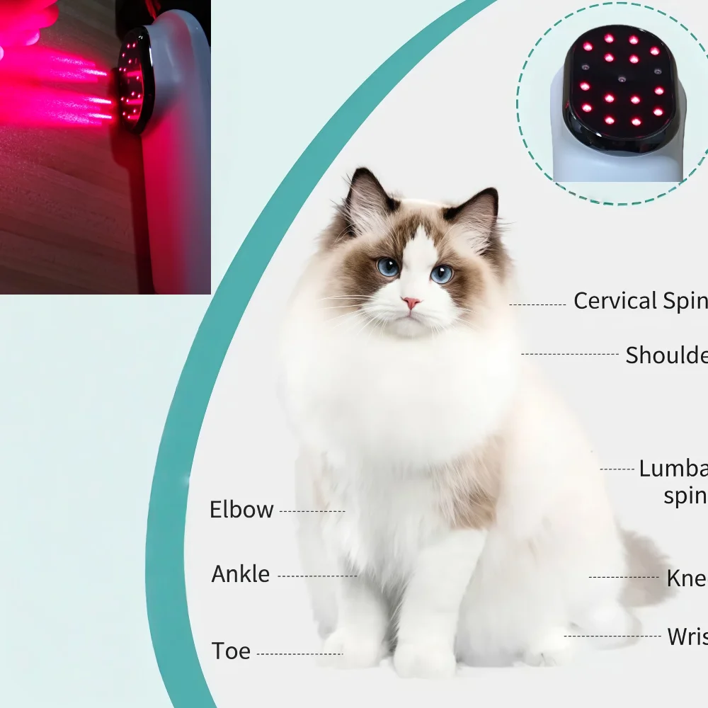 

Veterinary Portable Cold Laser Therapy Device, 650nm 808nm LLLT for Dogs Cats Horses Pain Relief Itching Skin Treatment