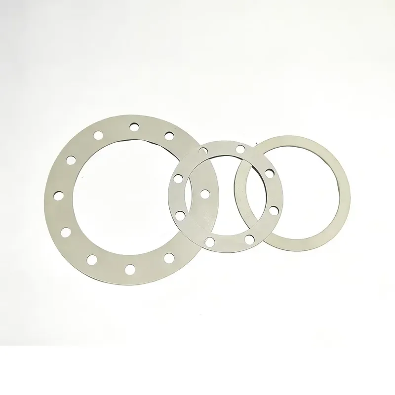 Refrigeration equipment compressor gasket