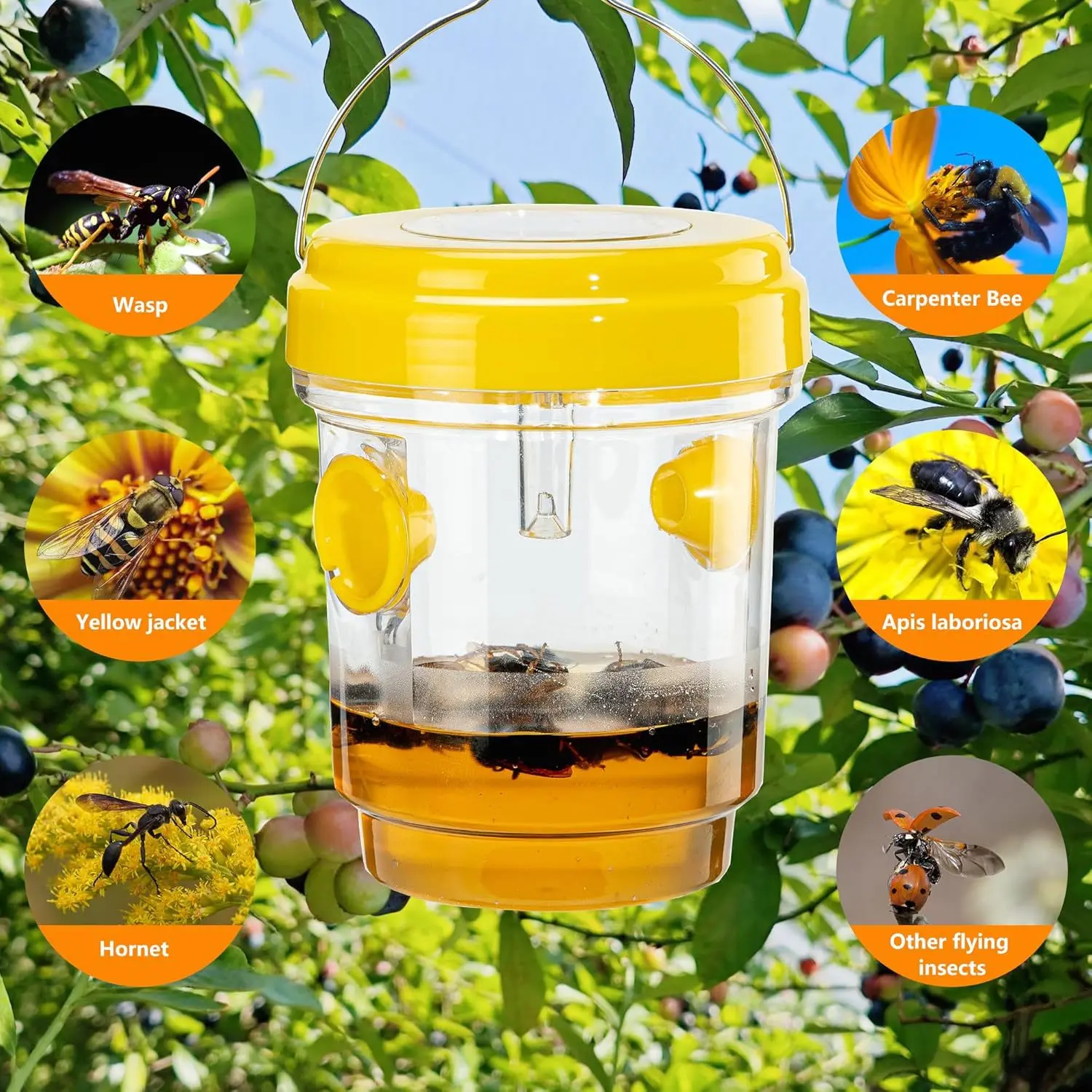 1/3pcs Solar Powered Wasp Trap with UV LED Light Reusable Fly Traps Hornets Trap for Indoor Outdoor Hanging Pest Control Tools