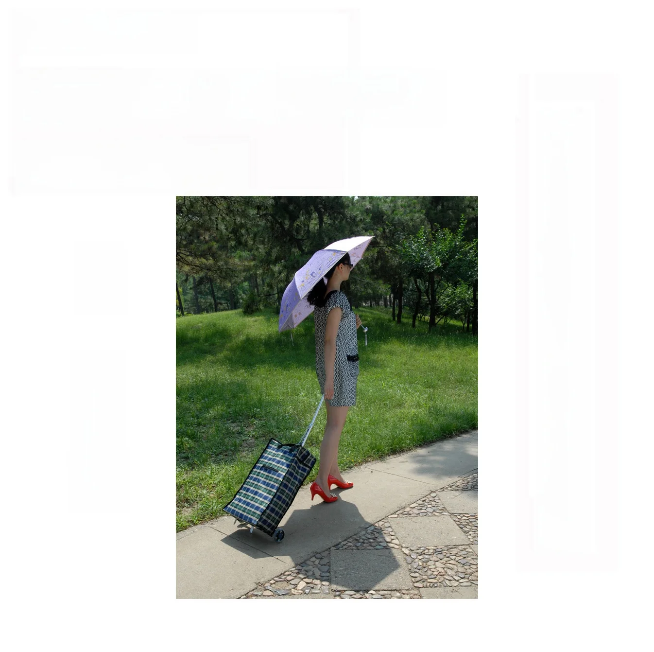 carrello-della-spesa-portatile-in-lega-di-alluminio-leggero-pieghevole-con-maniglia-a-barra-per-anziani-carrello-per-la-spesa-di-verdure