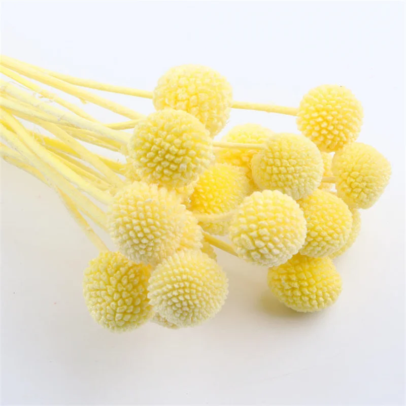 Floral Arrangement Wedding Decoration Buttons Dried Flower Natural Billy Ball Dry Craspedia Globosa Home Table Flowers Decor