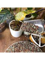 Mix Horticultural Lava Rock Pebbles Pumice Potting Soil Amendment Succulent Cactus Bonsai Gritty Rock Decorative Gravel Plant Dr