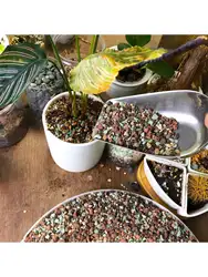 Mix Horticultural Lava Rock Pebbles Pumice Potting Soil Amendment Succulent Cactus Bonsai Gritty Rock Decorative Gravel Plant Dr