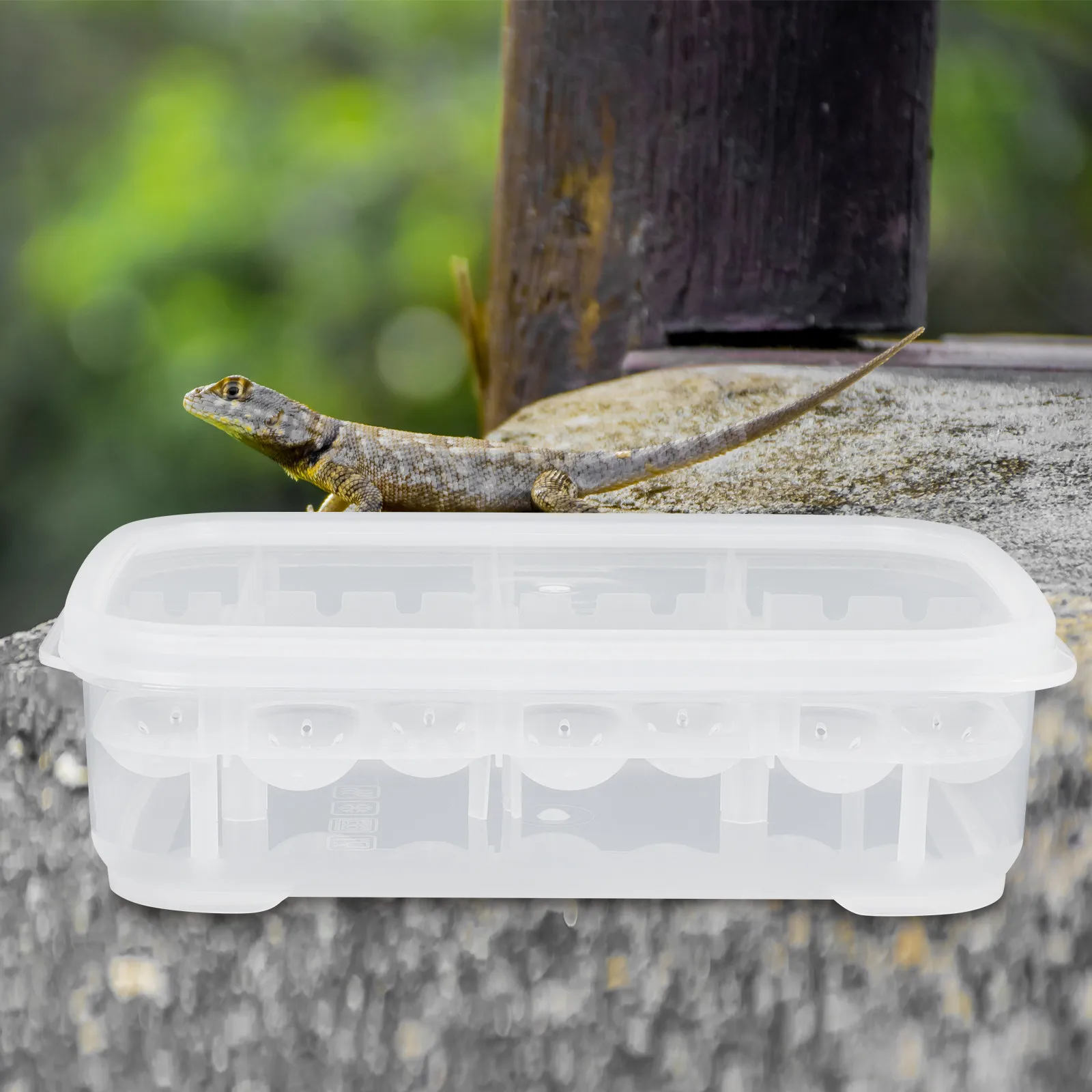 

14-Grid Reptile Hatchery Box Professional Incubator for Small Reptiles Durable Safe Easy to Manage and Transport