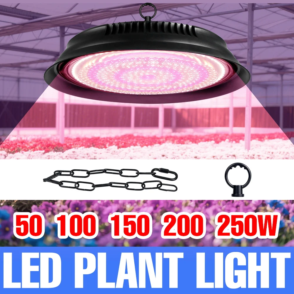 250 واط LED تنمو ضوء الطيف الكامل الدفيئة زراعة النباتات المائية مصباح للزهور الفاكهة الخضروات خيمة ملء الإضاءة