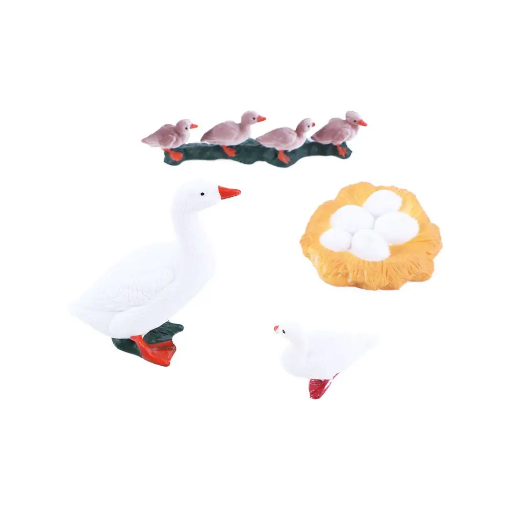 Swan Model Educational Toys Poultry Growth Cycle White Goose Growth Cycle Simulation Cycle Duck Figurine Life Cycle Figures
