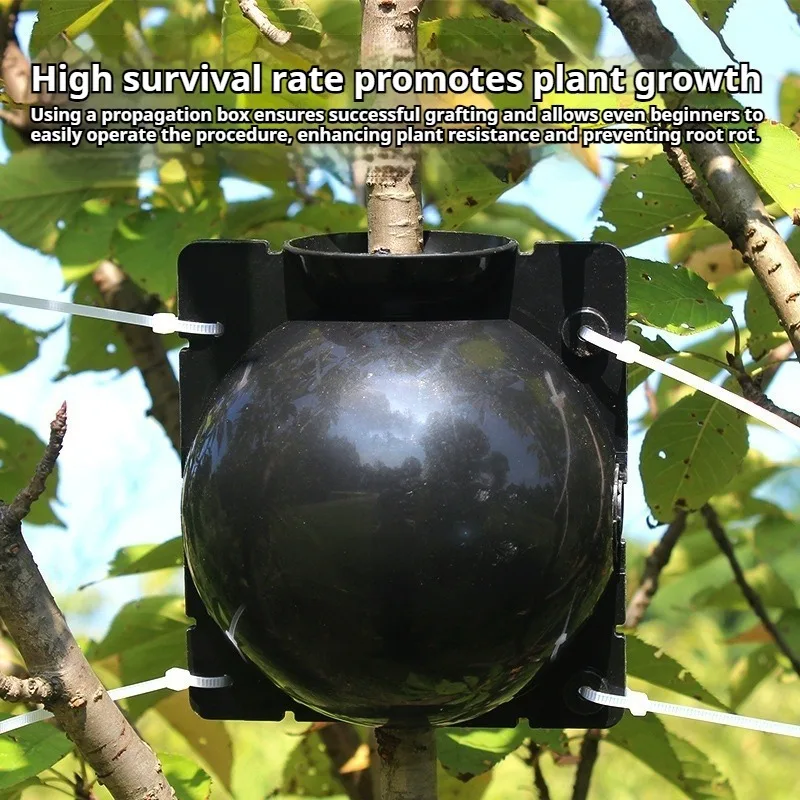 10pcs Plant Propagation Kit: High-Pressure Grafting Balls for Fast Rooting. Durable, Reusable Plastic for Indoor & Garden Use.