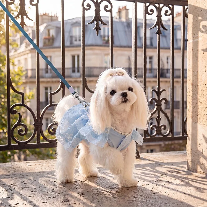 Falda encaje verano para perros cachorros teddy maltese - imagen 4