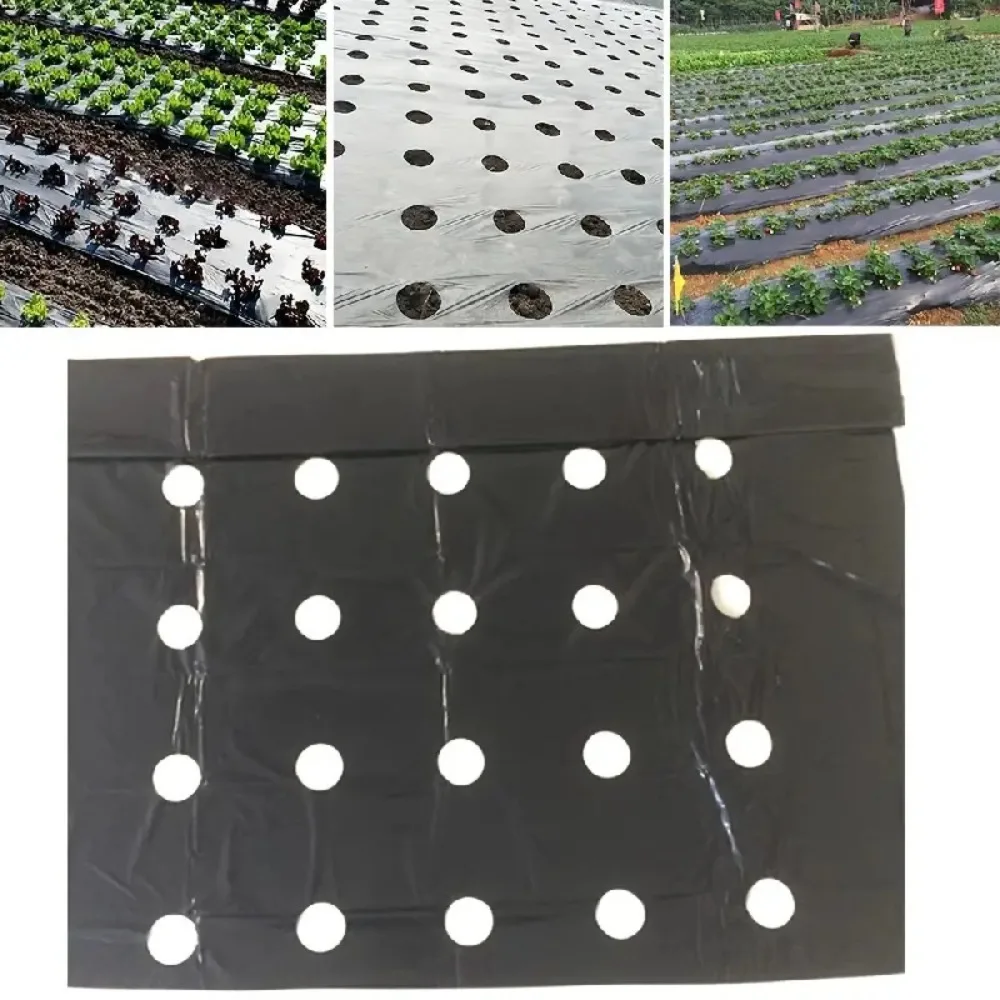 

3.12 ft X 32.81 ft Mulch Film Thermostatic Weeding Prevention Planting Plastic Mulch Film Agricultural Use With Holes Grow Film