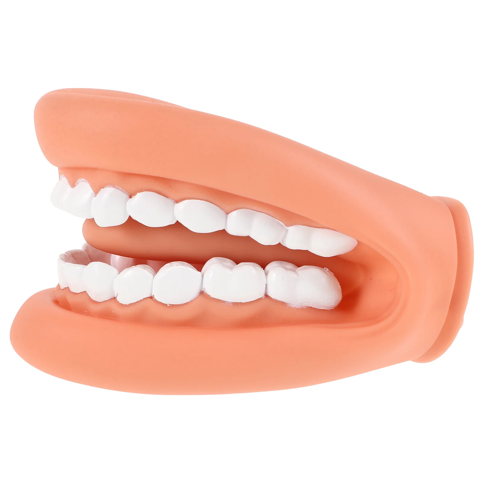 

Hand Puppet Standard Tooth Model Teeth Manual Human Dental Mouth Pvc Teaching Child