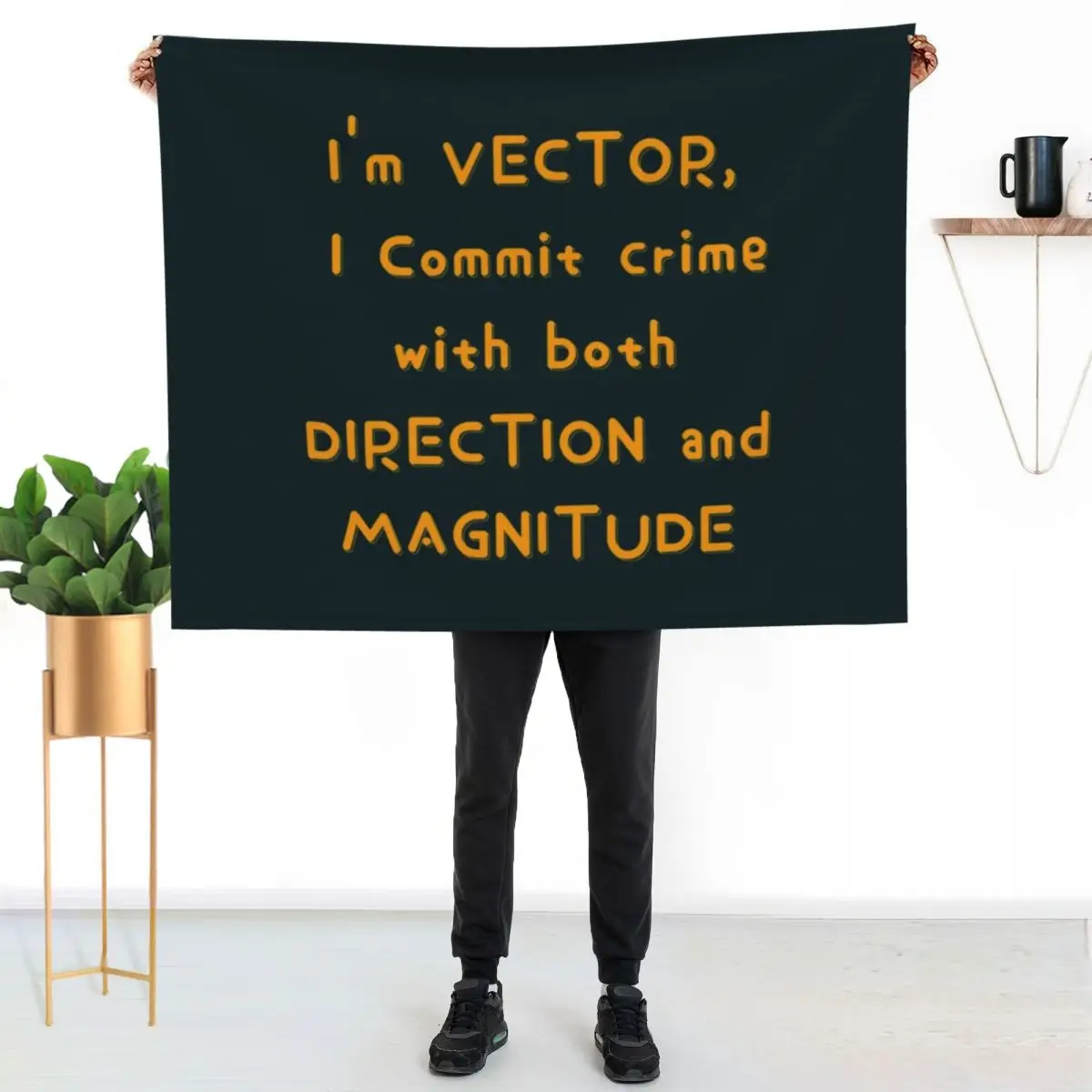I_m VECTOR - Despicable Me Throw Blanket blankets ands Camping Comforter for babies Hairy Beach Blankets