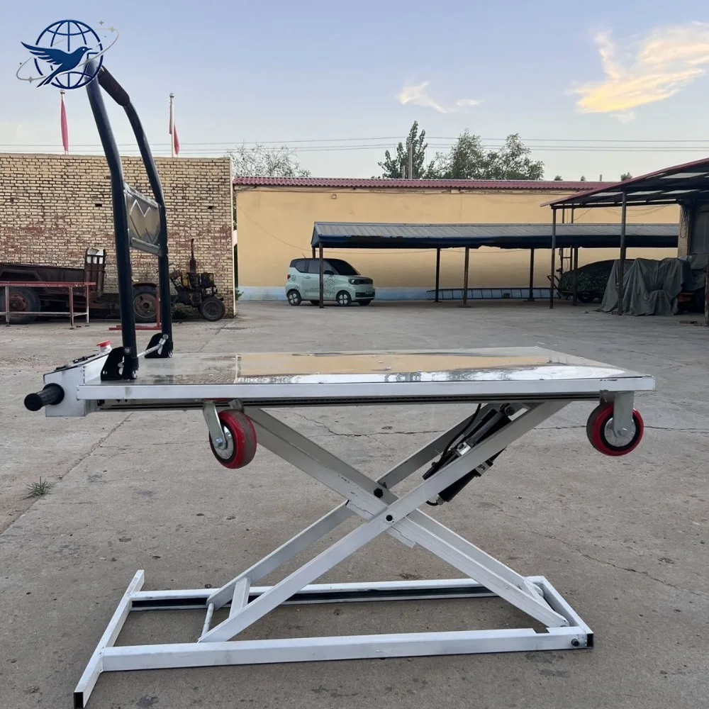 New Rayker Hand Trolley, Liftable Mobile Electric Hydraulic Flatbed Truck, Scissor Lift Table