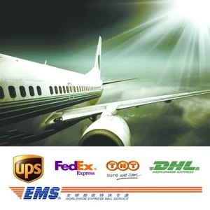 Экспресс-доставка, дополнительная стоимость EMS E-Pack Dhl Ups TNT