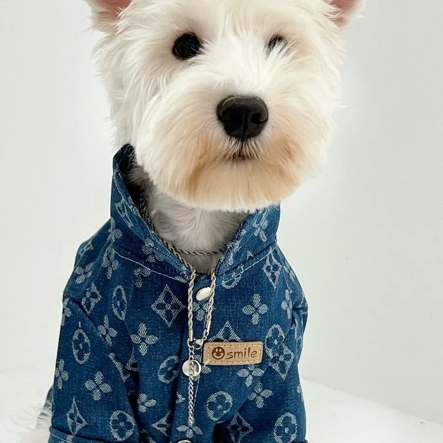 Pets Dog Cat Denim Coat Jacket Puppy Clothes Cool Apparel For Small Medium Dogs Cowboy Schnauzer Dobby Bear Teddy Pet Clothing