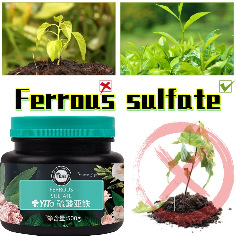 

500g Indoor and Outdoor Potted Ferrous Sulfate Flower Fertilizer Iron Supplementary Fertilizer Acid Anti-yellow Leaf Fertilizer