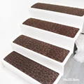 Brown 02