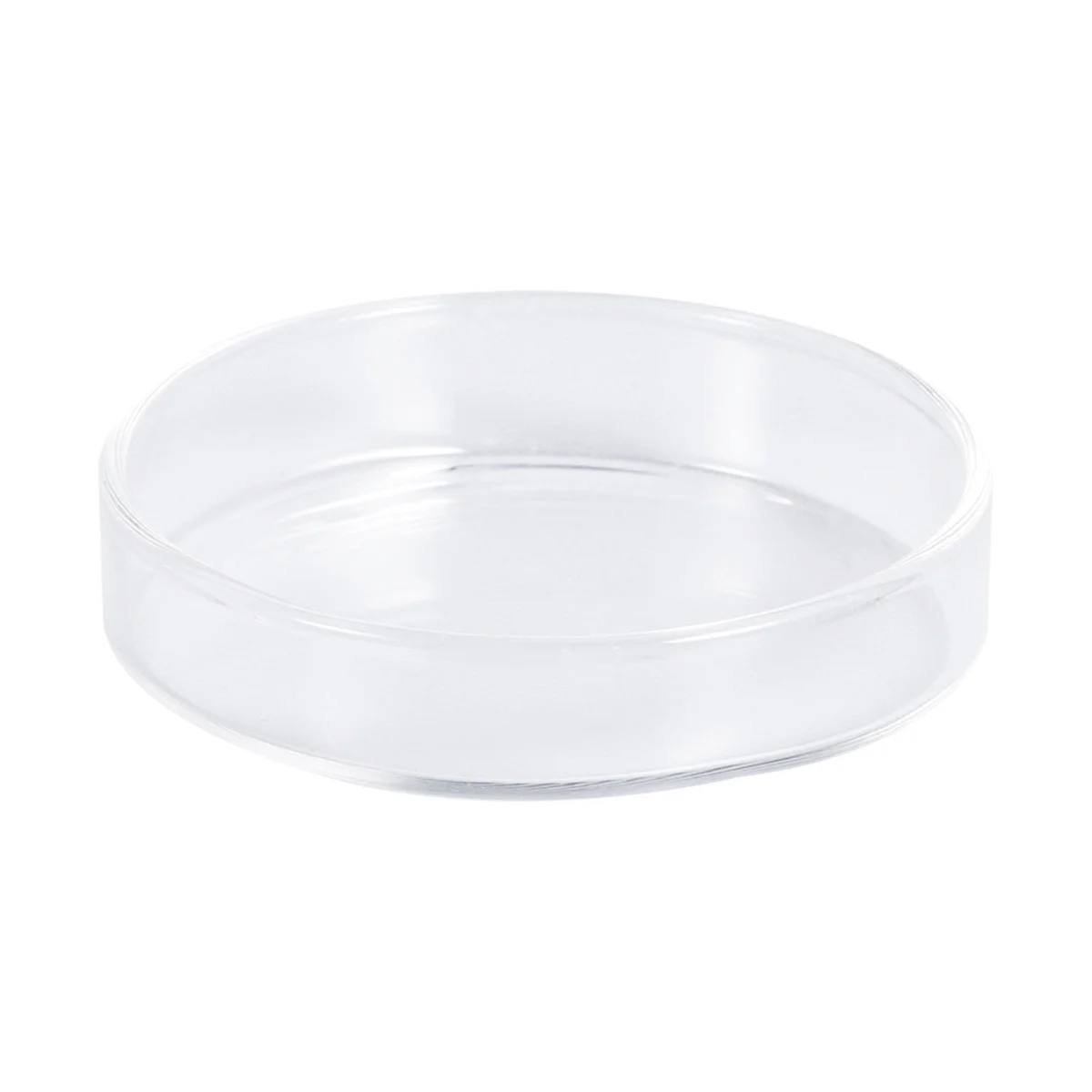 

1Pcs Shrimp Food Round Dish Small Transparent Glass Feeding Bowl Size 8 Floating Feeder for Aquariums Shrimp Food Round Dishes
