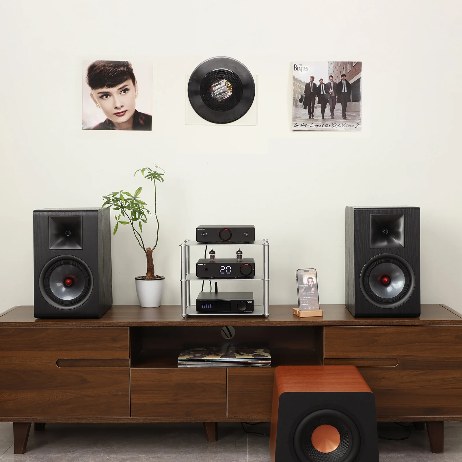 AIYIMA T20 Vacuum Tube Preamplifier Amplifier LME49720 /OPA1612 HiFi Amplificador XLR/RCA  Balanced Input 12V Trigger Output