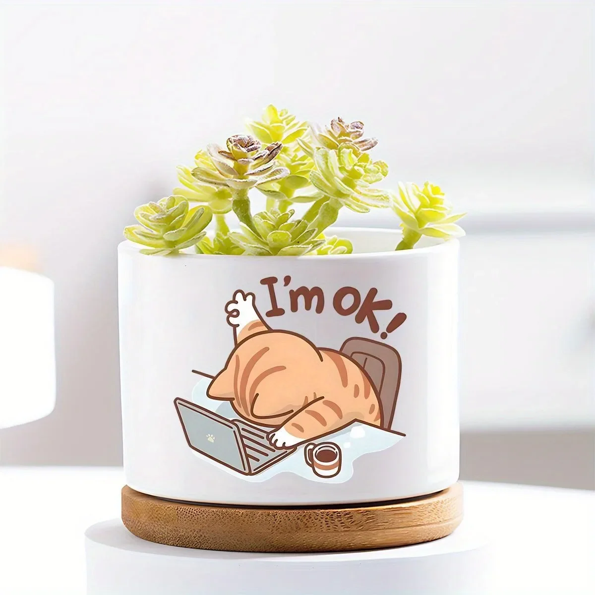 I'm Ok Cute Cat Ceramic Flower Pot for Home Office Decor Desktop Flower Pot Perfect Gift for Plant Lovers (excluding Plants)