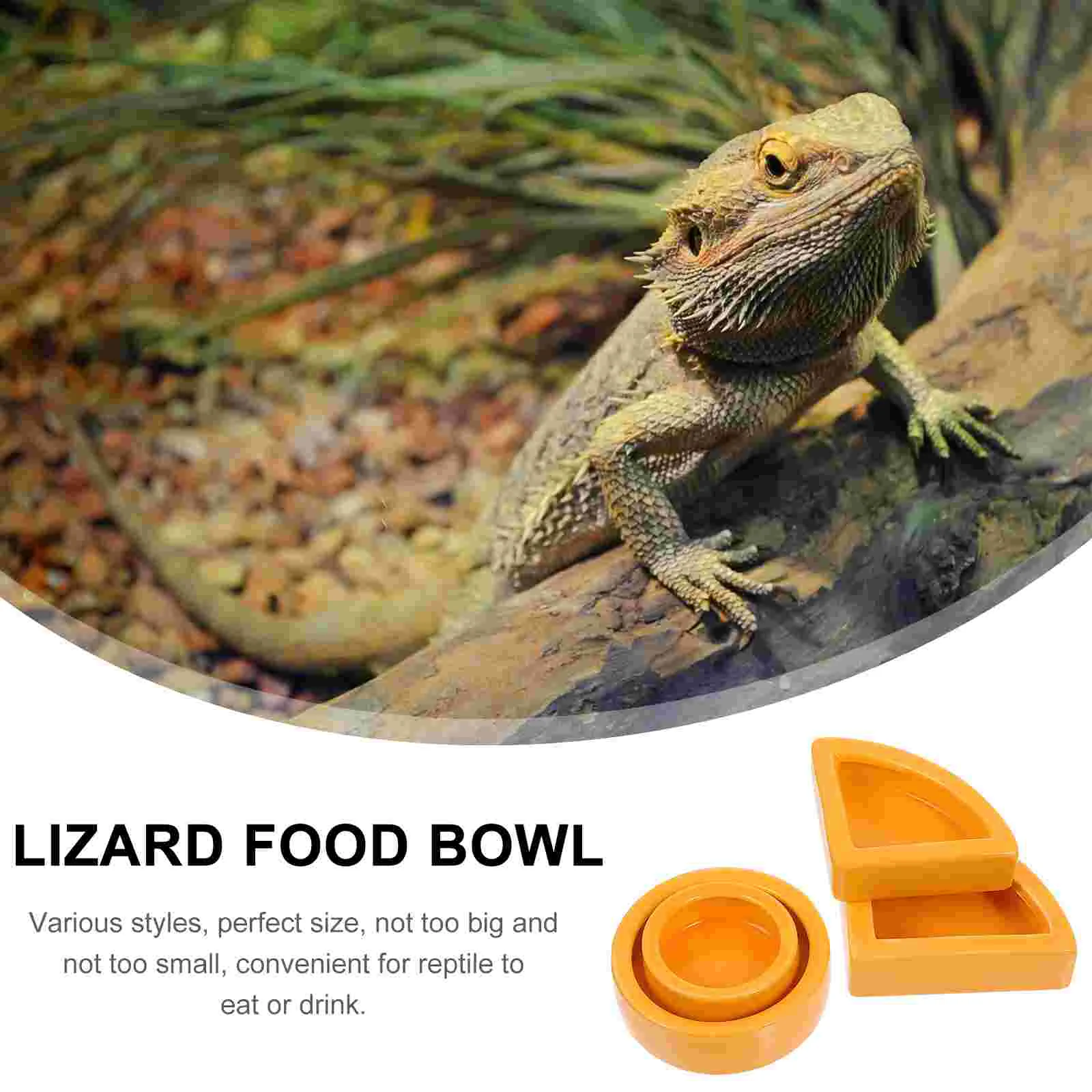 4 Pcs Reptile Ceramic Food Bowl Lizards Reptiles Feeding Supply Worm Containers to Pet Feeders Ceramics Basin Bowls