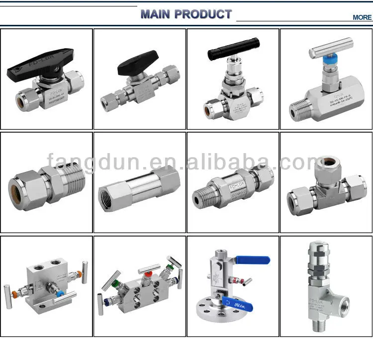 Pressure 6000PSI  1/2NPT male x Female Two Valve Manifolds with vent plug