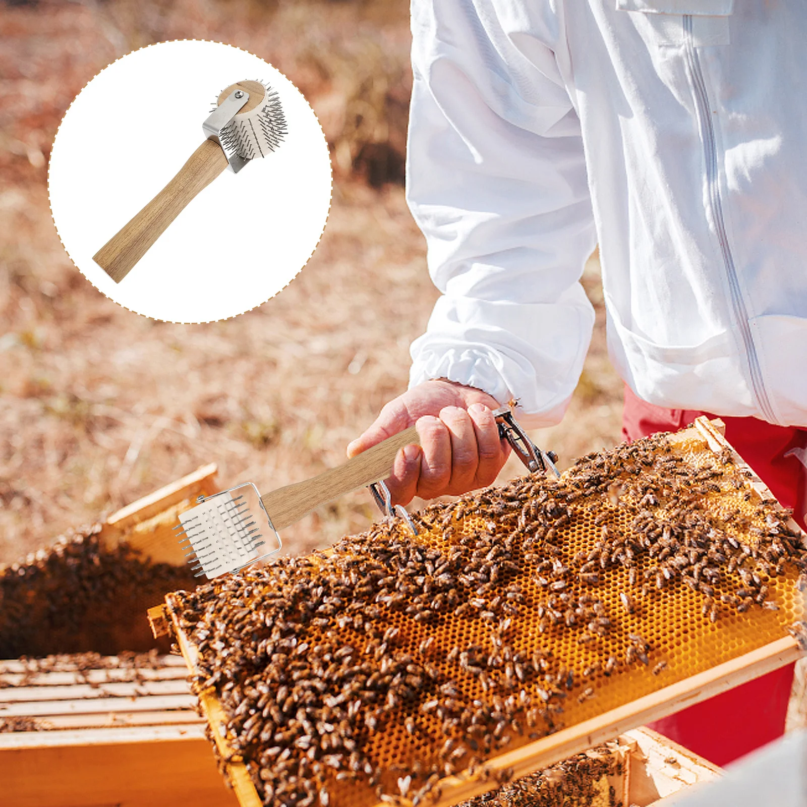 เข็มม้วนเก็บน้ำผึ้งพร็อพอลิส ทำจากสแตนเลส อุปกรณ์เลี้ยงผึ้ง เครื่องมือช่างสำหรับรังผึ้ง