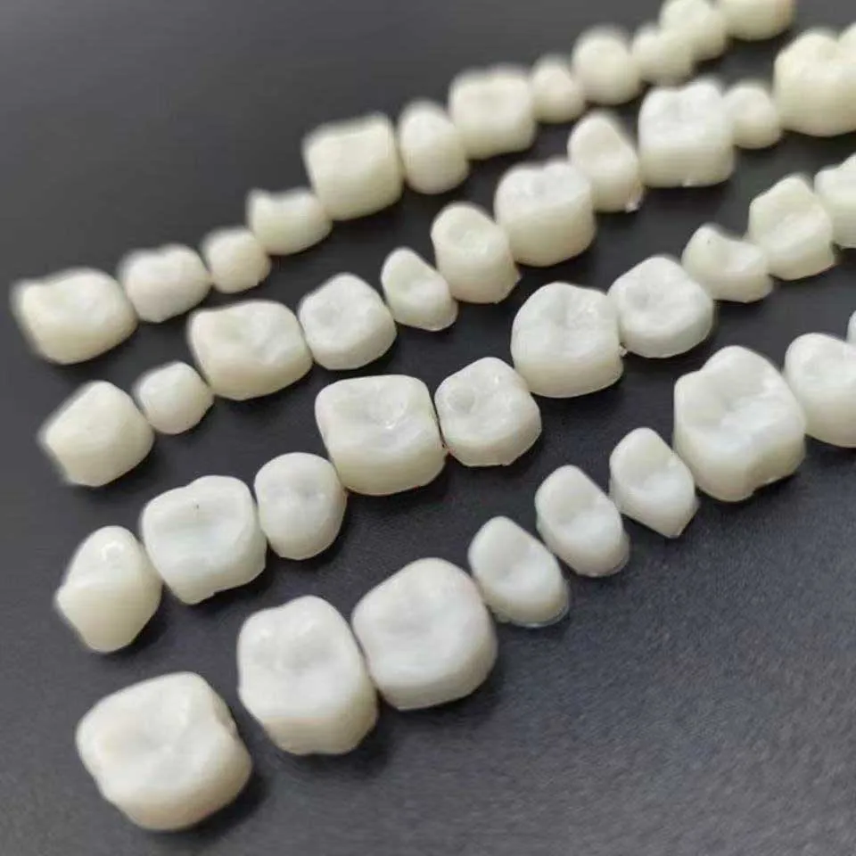 الأقواس المزيفة لتاج الأسنان وأقواس الأسنان أدوات حماية الأسنان #4