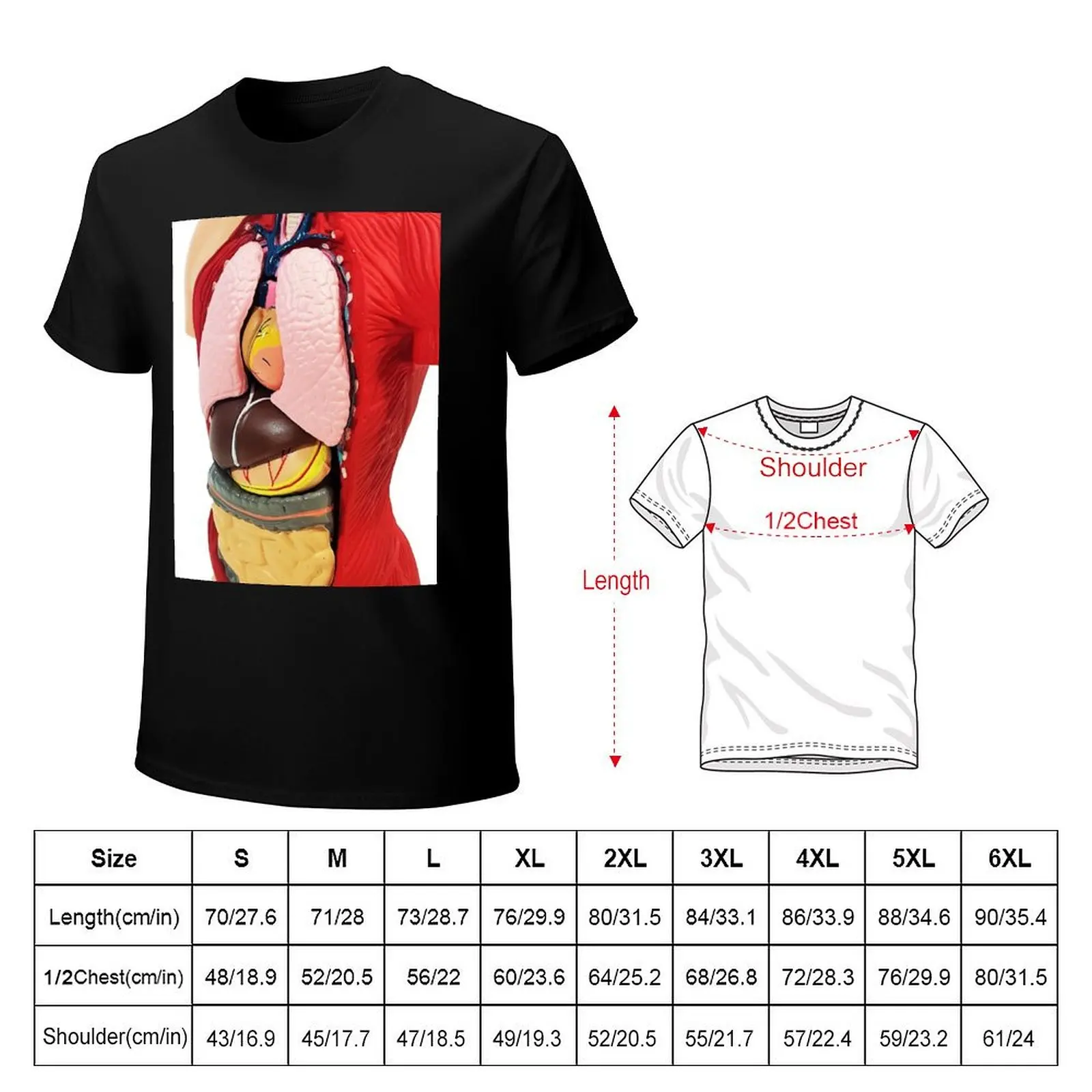Human Torso Anatomy Model T-Shirt man t shirts high quality luxury brand T-Shirt
