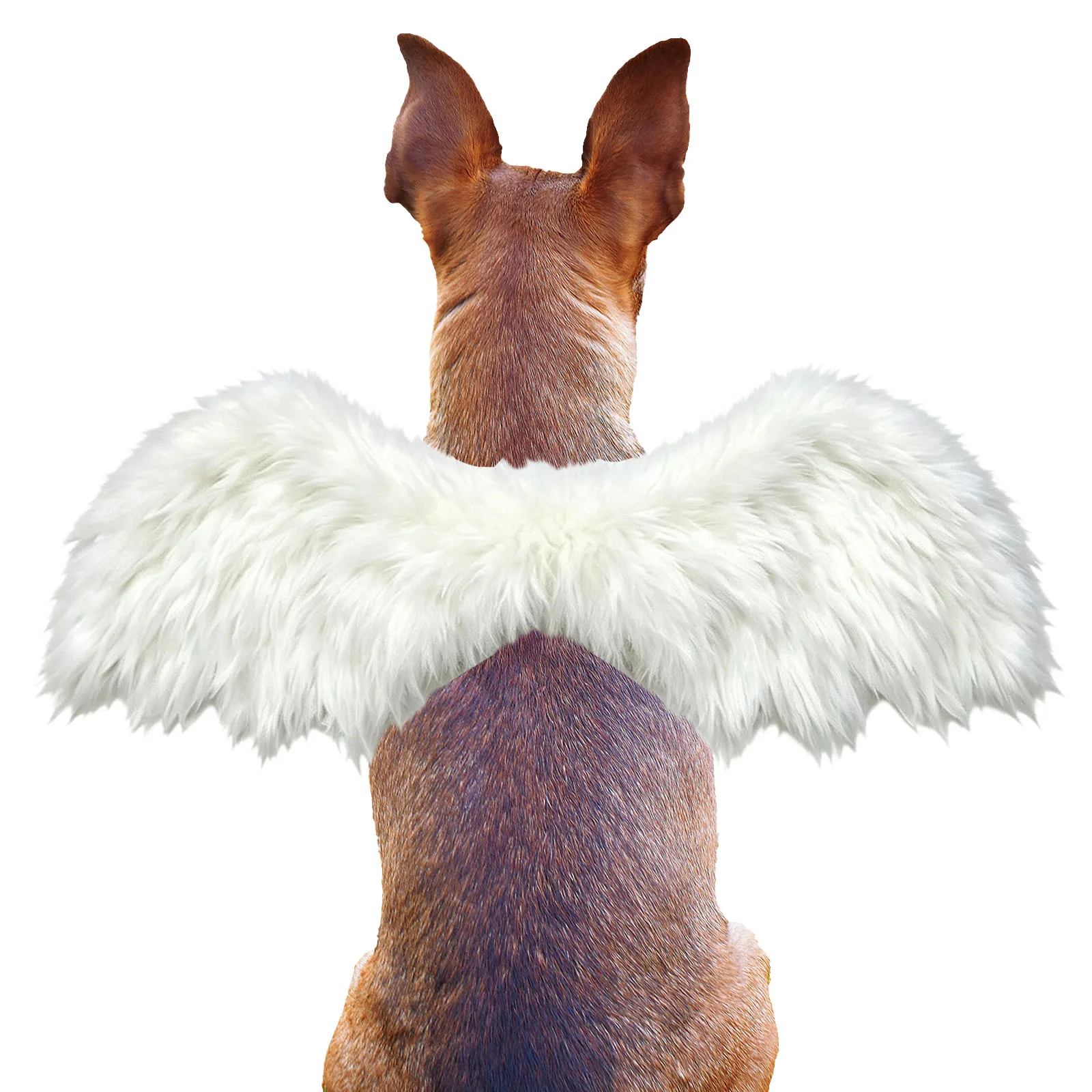 Angel Wings Dog or Cat 1