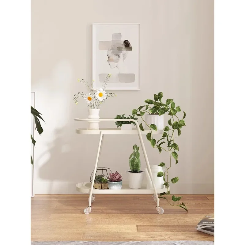 Mobile cream style living room plant placement  indoor flower iron flower , succulent  storage layer