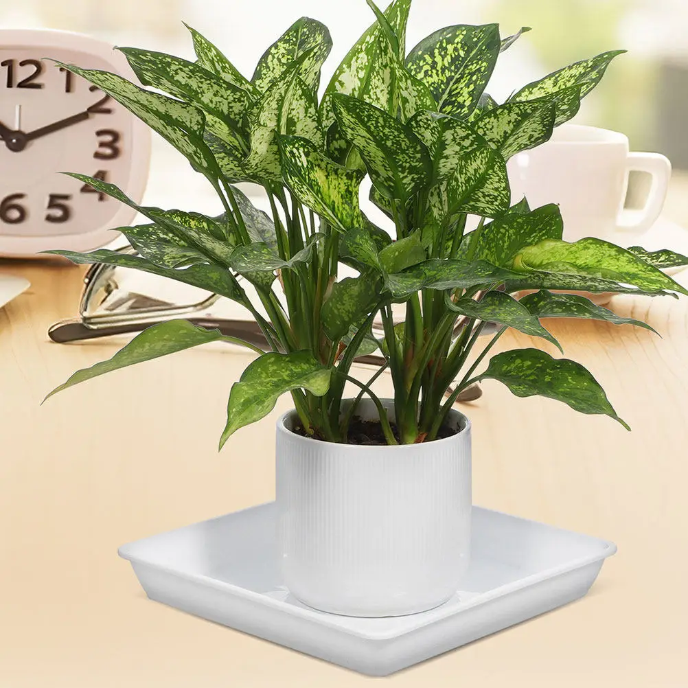 

2Pcs Square Plant Tray Thickened Plastic Flowerpot Saucers Succulent Bonsai Water Catcher Tray for Outdoor Indoor