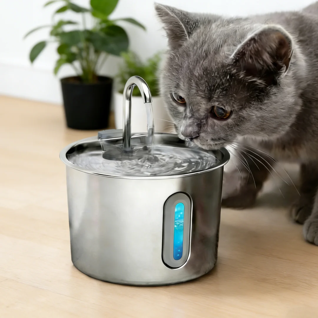 

Automatic 2.2L Cat Water Fountain with Filter Stainless Steel Pet Water Dispenser for Cats Dogs Drinking Transparent Window