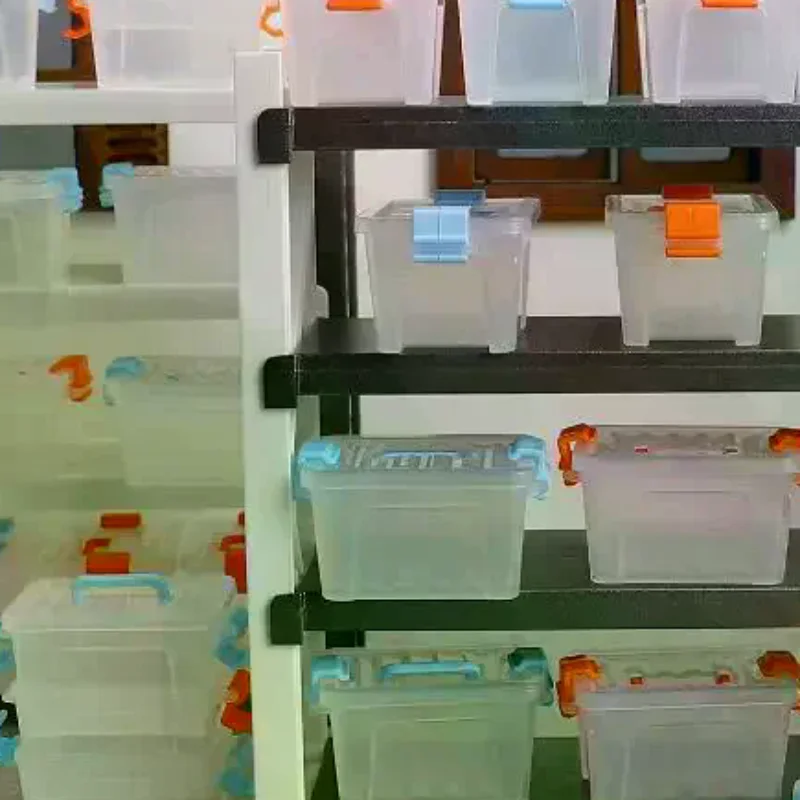 5 Peças de Caixa de Armazenamento Miniatura para Casa de Bonecas, Caixa de Ferramentas Transparente, Decoração para Casa de Bonecas, Acessórios para Cenário Micro