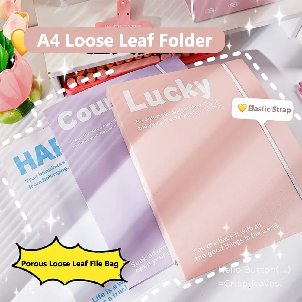 INS نمط فضفاض ورقة A4 مجلد ملفات انفصال الطلاب القرطاسية كتاب البيانات شفافة مكتب تخزين كتيب مكتب المدرسة