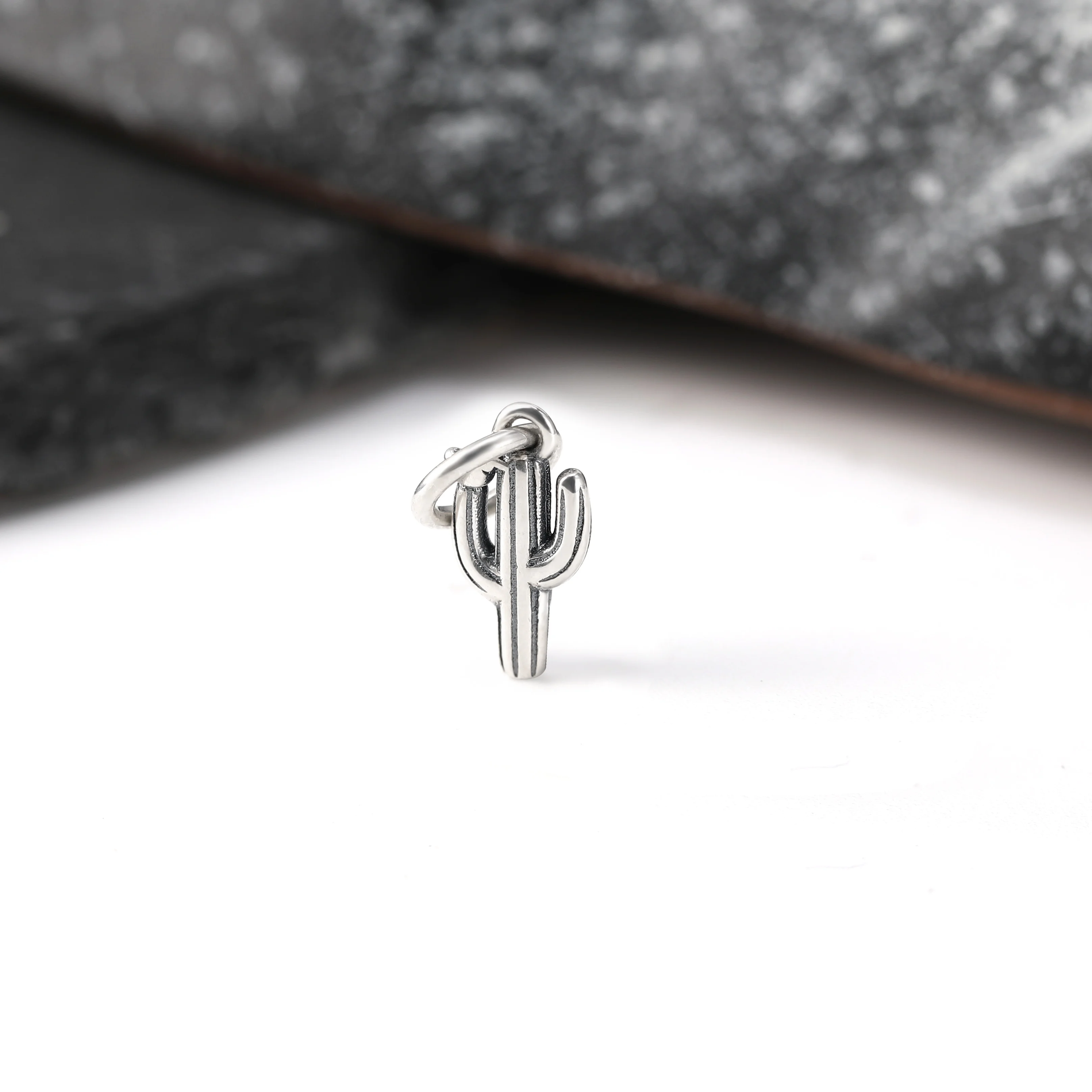 

DJ109 genuine 925 sterling silver fashionable and exquisite keychain accessories cactus and bird pendant silver jewelry
