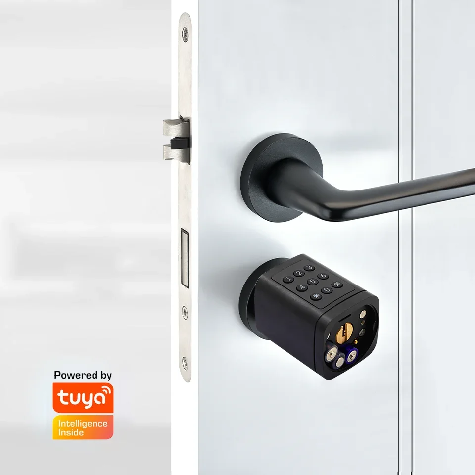 Euro Standard Tuya App Smart Lock Keyless Digital Key Card Electronic Cylinder Lock Brass IP SDK Compatible