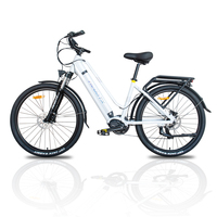 HedaTX TX520 E Bike Mid Drive 48V 250W Adult Electric Bike 13Ah Battery City E-bike Hydraulic Brakes Electrical Bicycle Women