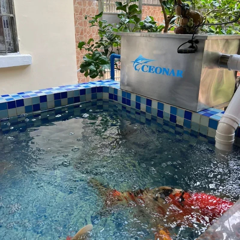2025/Ceonar new stainless steel UV water disinfection koi pond water filter filtration system