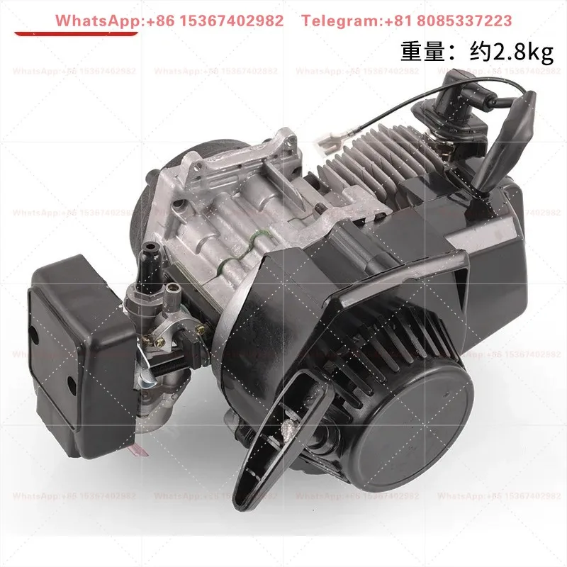 49CC Two Stroke Engine Assembly Hand Pull Starter Mini Motorcycle Mixed Fuel Power Complete Engine Parts