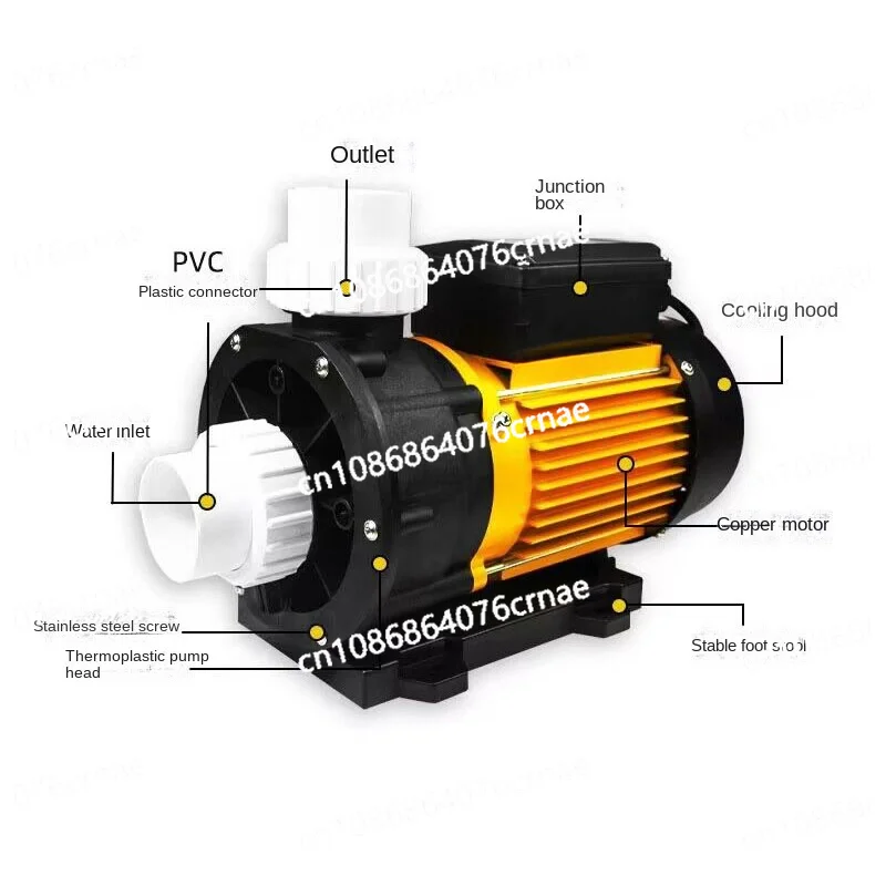 Sea Water Pump 1.2HP Pump for Whirlpool Spa Hot Tub and Salt Aquaculture 220V Anti-corrosion