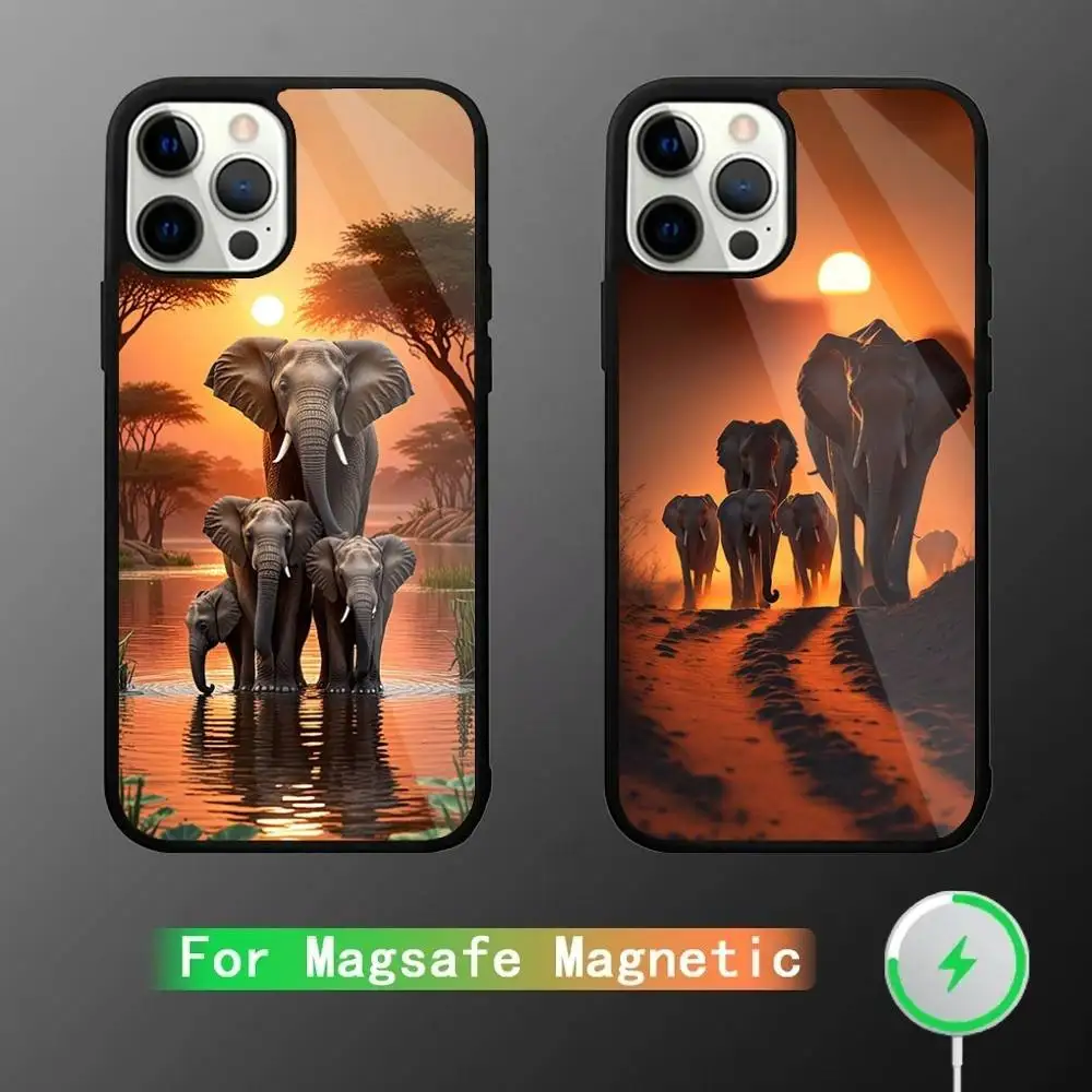 

Animal Elephant Phone Case For iPhone 16,15,14,13,12,11,Pro,Max,Plus,Mini,SE New Magsafe Magnetic Wireless Charging